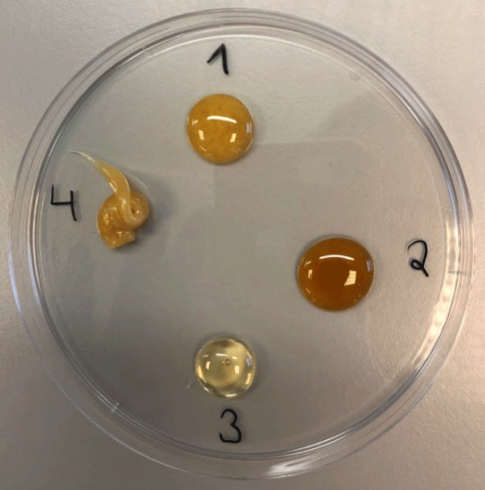 Inhibition and Changes in Antibiotic Sensitivity of Bacteria Cultured Aerobically and Anaerobically in Four Different Medicinal Honeys
