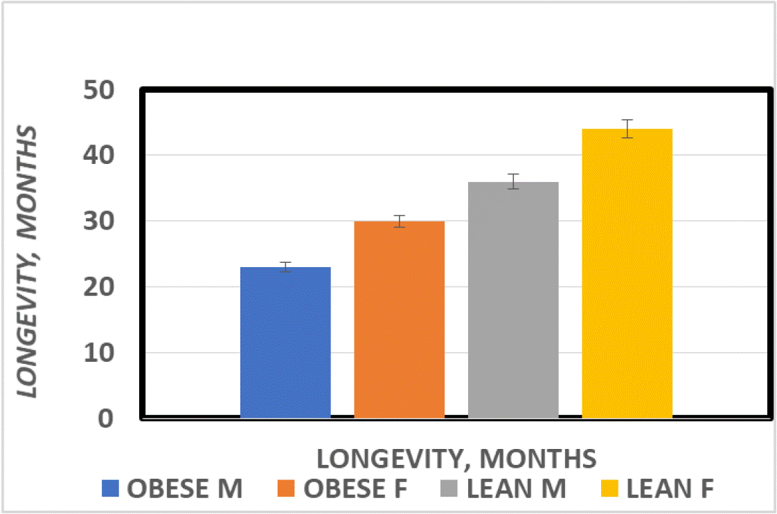 Associated Factors of Underweight Status of Children in Wolkite Health Care Center
