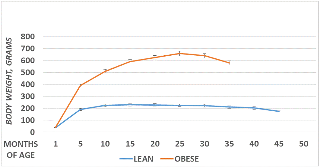 Cognitive senescence and brain shrinkage have been reported in Alzheimer’s disease and is often associated
with obesity but the pathophysiologic factors which bring about the neural declines remain unclear.